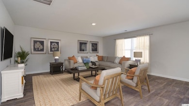 119 Spring Wheat Way unit Lot 123- Macon B, Conway, SC 29527 - photo 4