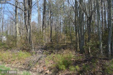 0 Nicholson Dr unit 1000407513, Colonial Beach, VA 22443 - photo 3