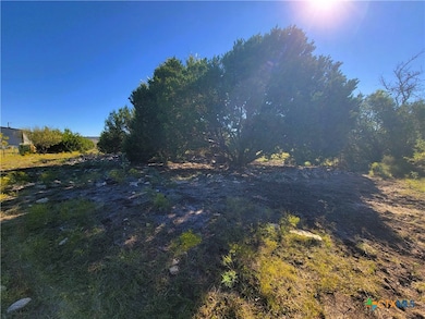 0000 County Road 3300, Kempner, TX 76539 - photo 7