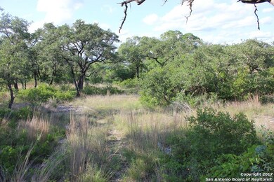 10113 Basilone Ridge, San Antonio, TX 78255 - photo 6