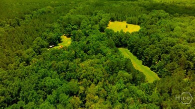 unlisted-address, Sandersville, GA 31087 - photo 3