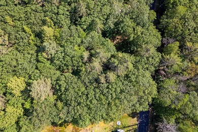 00 Old Georges Mills Rd unit 50, Sunapee, NH 03782 - photo 6