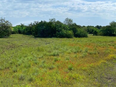 996 Meadow Hill Rd, Fort Worth, TX 76108 - photo 4