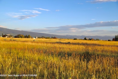 ONeil Saddlehorn-7396