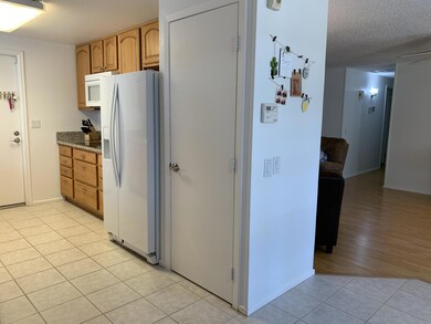 IMG_2045