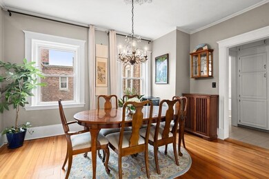 551 Brookline Ave unit 5, Brookline, MA 02445 - photo 4