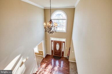 19 Easter Dr, Stafford, VA 22554 - photo 4