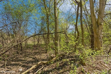 1630 Myrtle Park St, Roselle, IL 60172 - photo 5