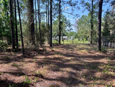 21970 SW Anchor Blvd, Dunnellon, FL 34431 - photo 6