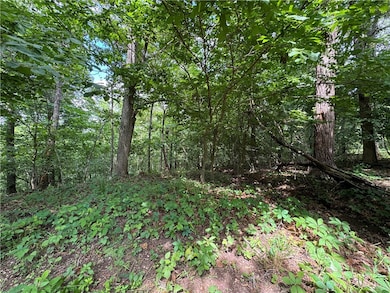 Lot 26 Ayton Ln, Bella Vista, AR 72714 - photo 6