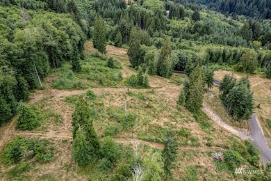 4 Bison Run, Longview, WA 98632 - photo 5