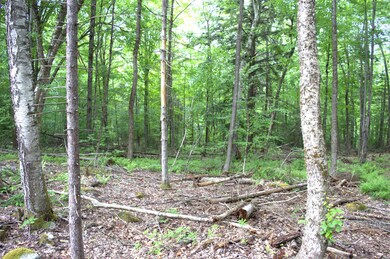 0 Britton Rd unit 5-364-4-L5 4955923, Claremont, NH 03743 - photo 5