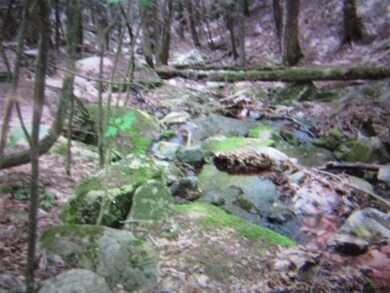 178 Overlook Dr, Hunter, NY 12442 - photo 7