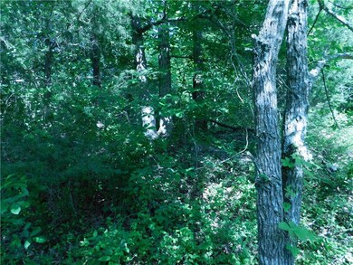 beautifully wooded lot...gentle slope to the back.