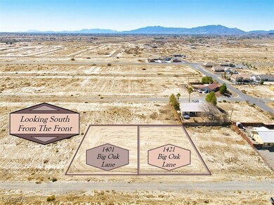 1421 Big Oak Ln, Pahrump, NV 89060 - photo 6