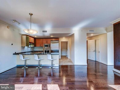 The Ritz-Carlton Residences, Baltimore, MD 21230 - photo 4