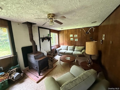 9 Lake Dr, Parksville, NY 12768 - photo 4