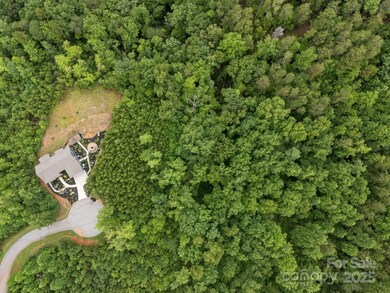 00000 Deer Jump Trail unit 351, Lake Lure, NC 28746 - photo 6