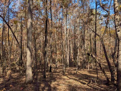 0 Baron Dekalb Rd, Camden, SC 29020 - photo 4