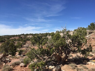 View of the ridge.