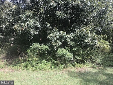 0 Levishohn St, Pittsgrove, NJ 08318 - photo 4