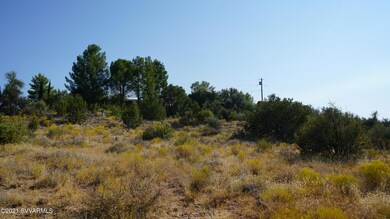 native shrubs and trees