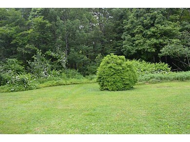 Yard/Garden.