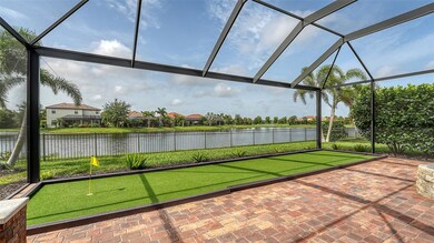 backyard oasis
