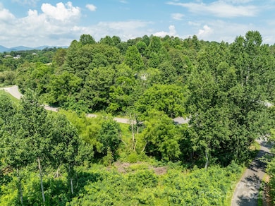 52 Gouges Branch Rd, Leicester, NC 28748 - photo 3