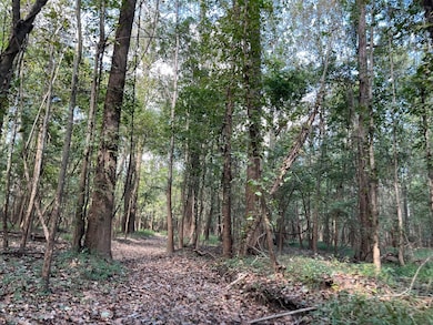 0 Cavass Rd, Woodville, MS 39669 - photo 4