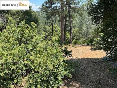 12064 Hillhurst Cir, Groveland, CA 95321 - photo 4