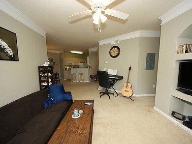 Madison living2