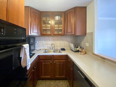 Tremont on the Common unit 15S, Boston, MA 02111 - photo 7