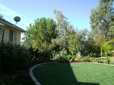 Lovely lawn