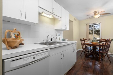 20-web-or-mls-DSC03265