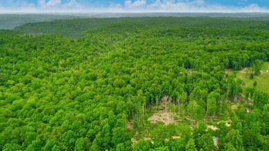 15.18ac Mount Helen Rd, Allardt, TN 38504 - photo 6