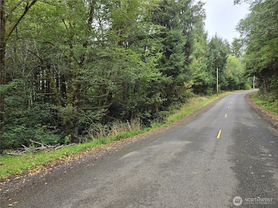 0 NKA Lund Rd, Cosmopolis, WA 98537 - photo 2