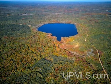 6920 N Lake Six Rd, Mercer C-Wi, WI 54547 - photo 3