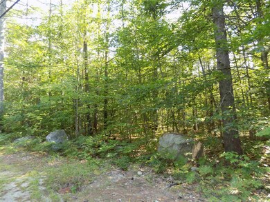 0 Davis Hill Rd unit 4821206, Conway, NH 03813 - photo 3