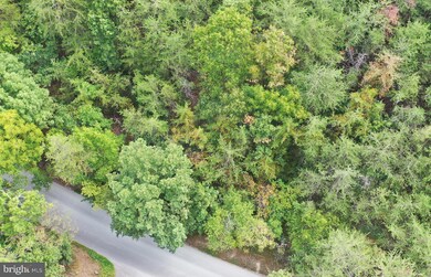 Lot 100 McCubbins Hollow Rd, Gerrardstown, WV 25420 - photo 2