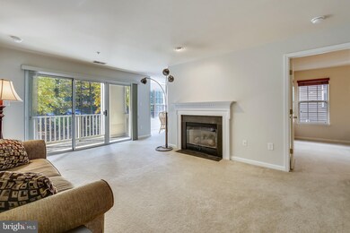 125 Timberbrook Ln unit 201, Gaithersburg, MD 20878 - photo 7
