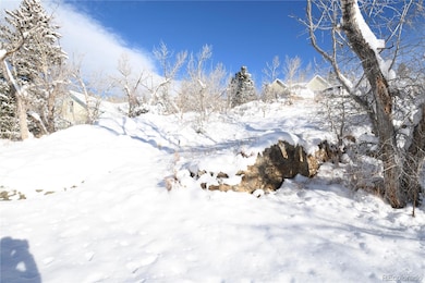 414 Saint James St, Central City, CO 80427 - photo 6