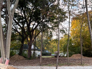 712 Gibson St, Trenton, TN 38382 - photo 2