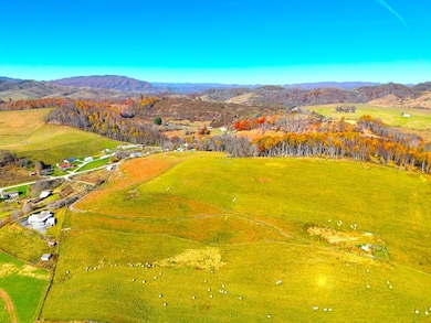 15.98 ac B F Buchanan Highway Quarter Horse Cir, Tazewell, VA 24608 - photo 3