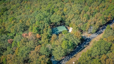 120 Branch, Greers Ferry, AR 72067 - photo 4