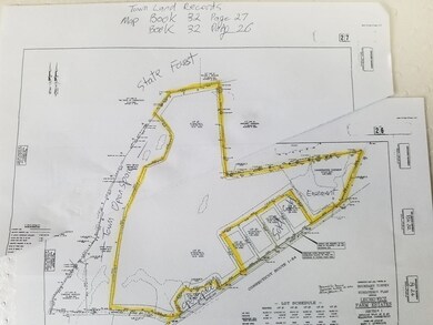 001 Mihaliak Rd, Willington, CT 06279 - photo 5