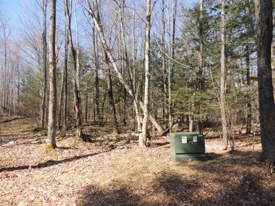 ON S Shore Ln unit 5.37 Ac., Deerbrook, WI 54424 - photo 3