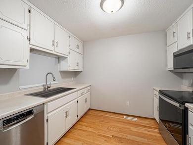 423 Whispering River Ln, Farmington, MN 55024 - photo 6