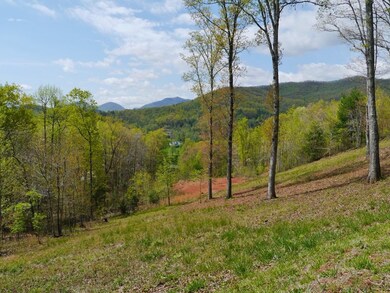 374 Loverly Way, Franklin, NC 28734 - photo 5