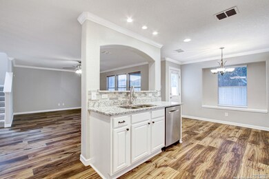 10334 Roseangel Ln, Helotes, TX 78023 - photo 4